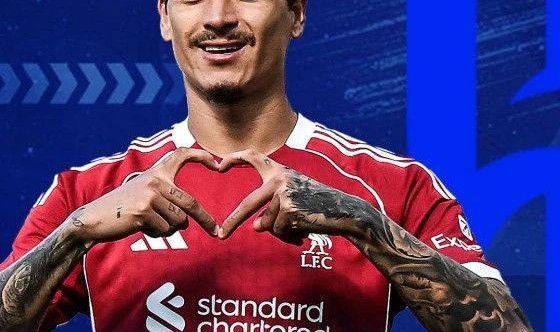 利物浦官宣：努涅斯转会沙特希拉尔，交易额列队史出售榜第六位